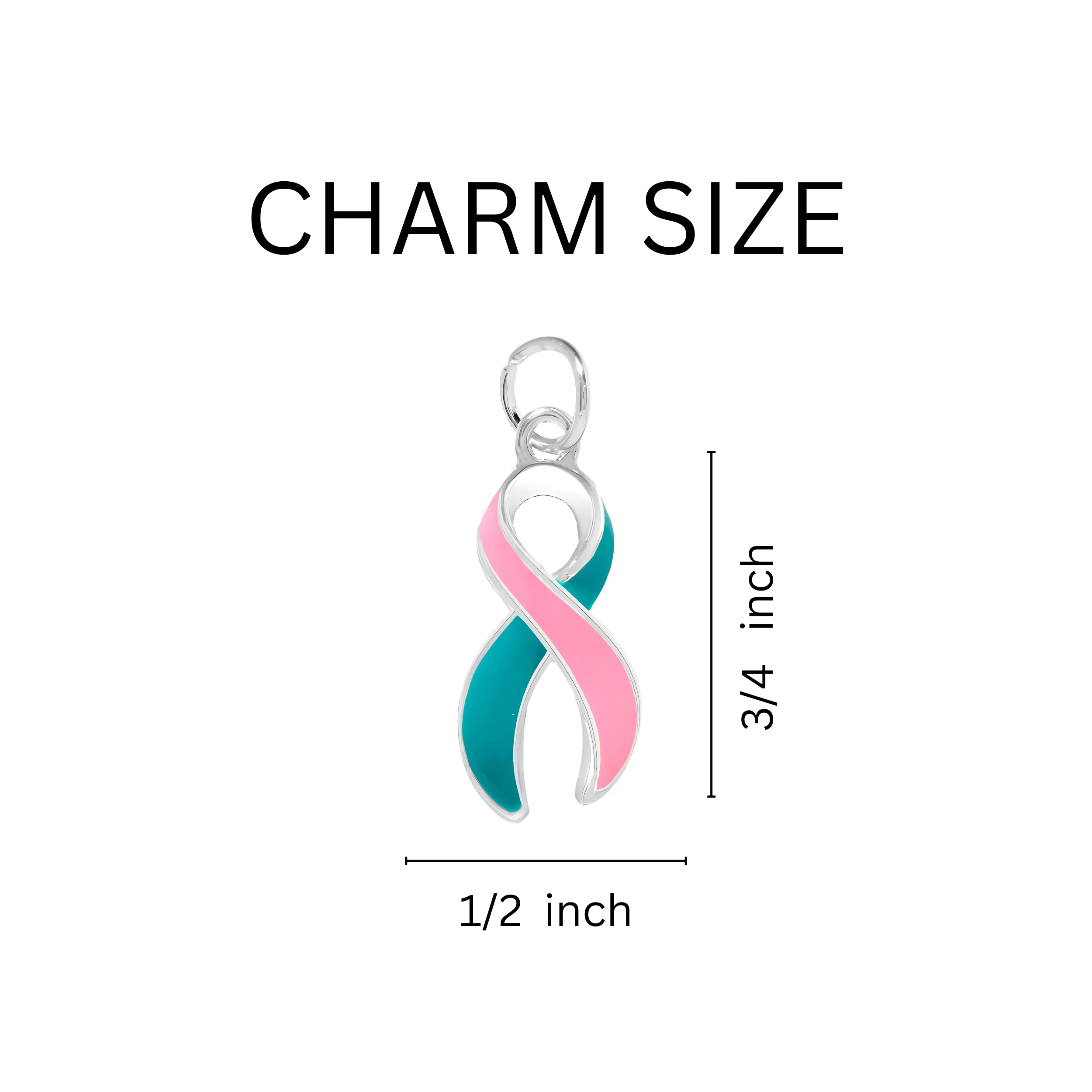 Pink & Teal Ribbon Horseshoe Style Key Chains