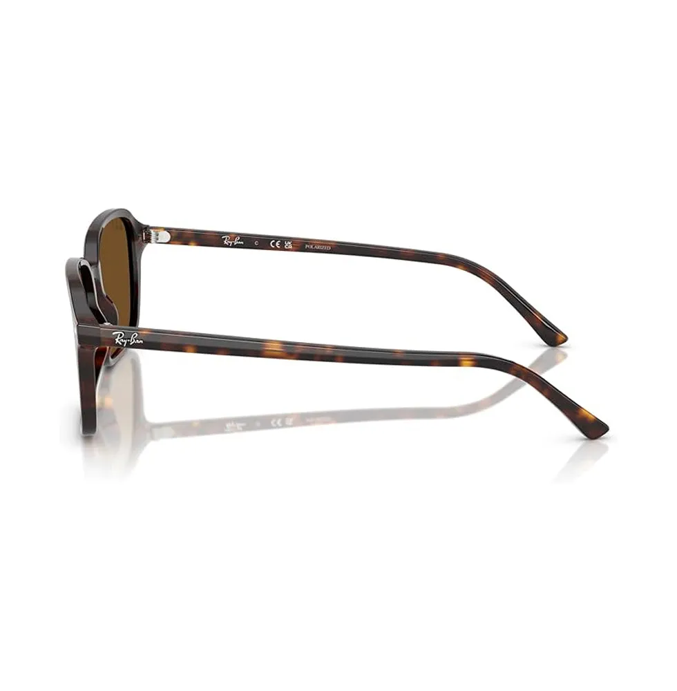 Ray-Ban Raimond Polarized Sunglasses
