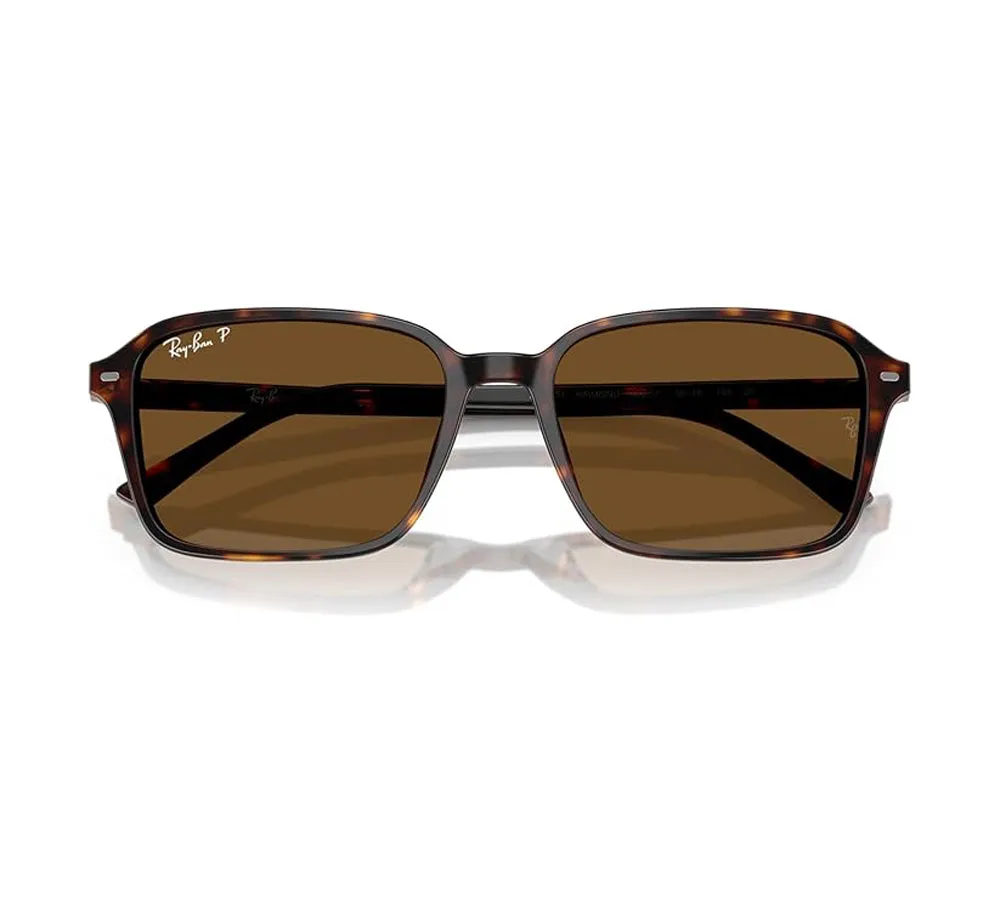 Ray-Ban Raimond Polarized Sunglasses