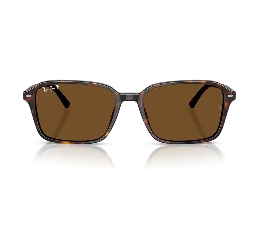 Ray-Ban Raimond Polarized Sunglasses